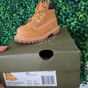 TODLER winter boots timberland 5c